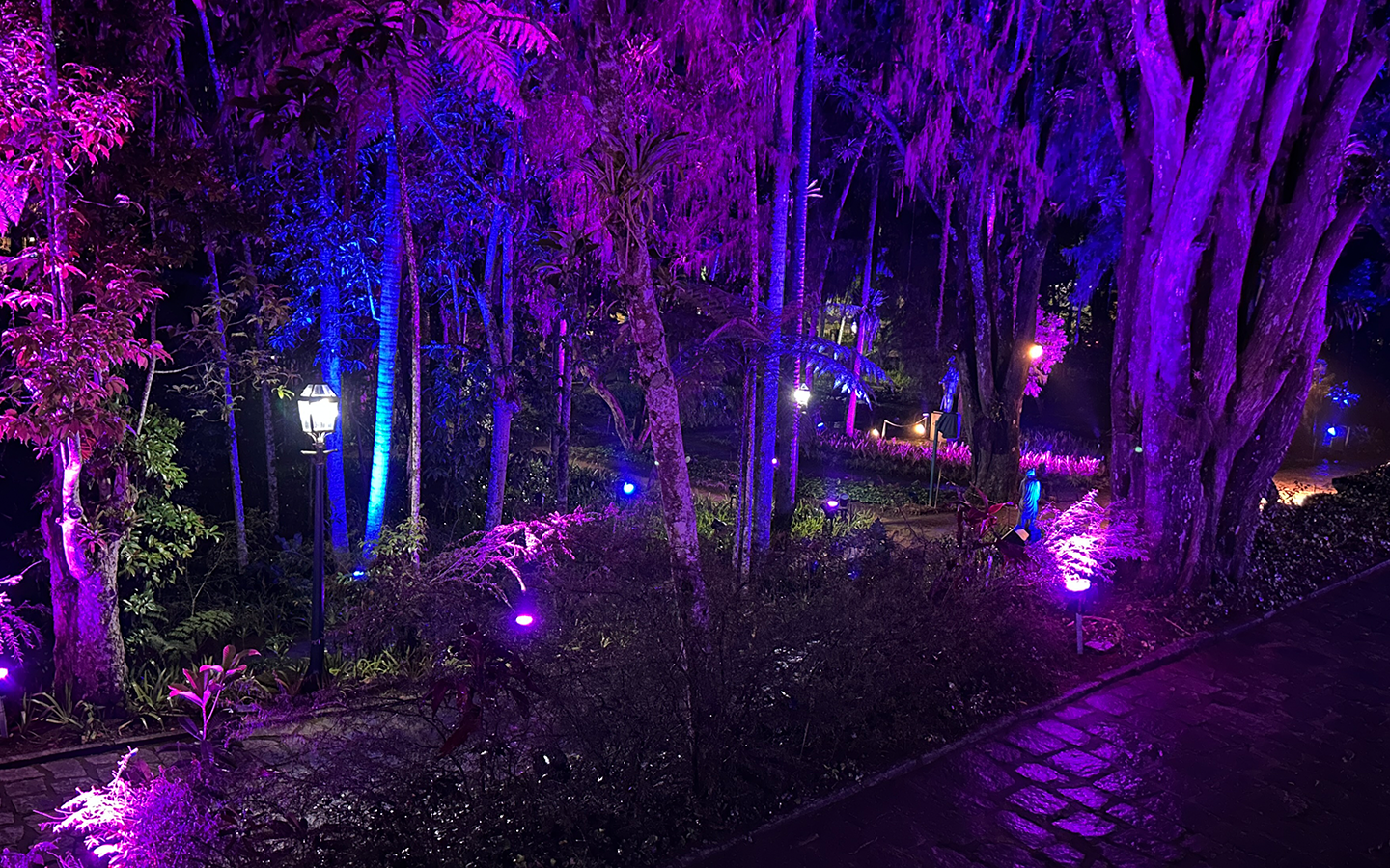 Som e Luz do Museu- petropolis
