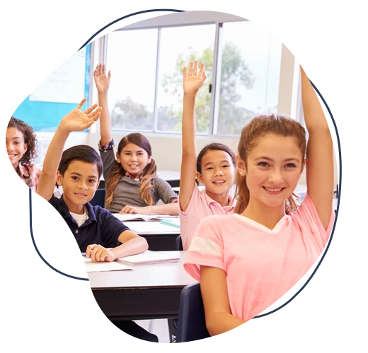 banner-organico-sonorizacao-escola